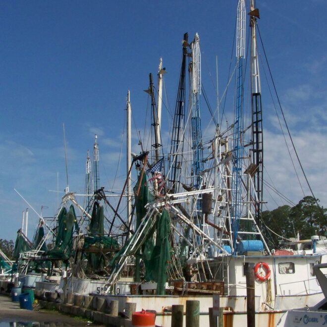 https://commons.wikimedia.org/wiki/File:Shrimpboats.JPG
