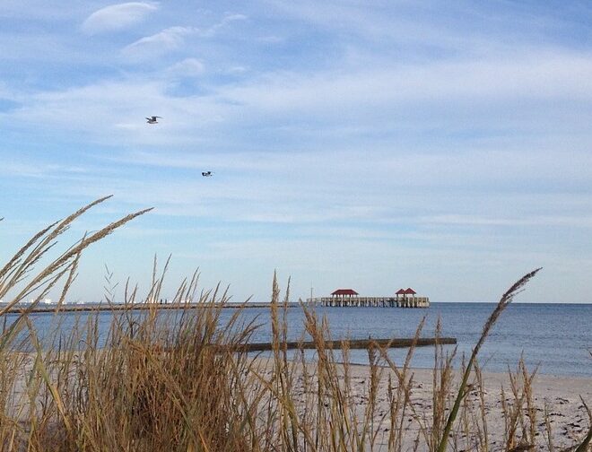 Gulf Coast, MS - Image by outdoorloverjen from Pixabay