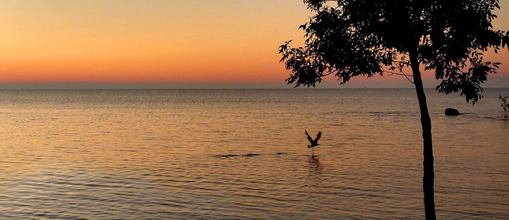 Lake Huron - Image by David Phelps from Pixabay