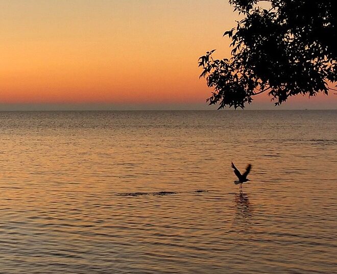 Lake Huron - Image by David Phelps from Pixabay