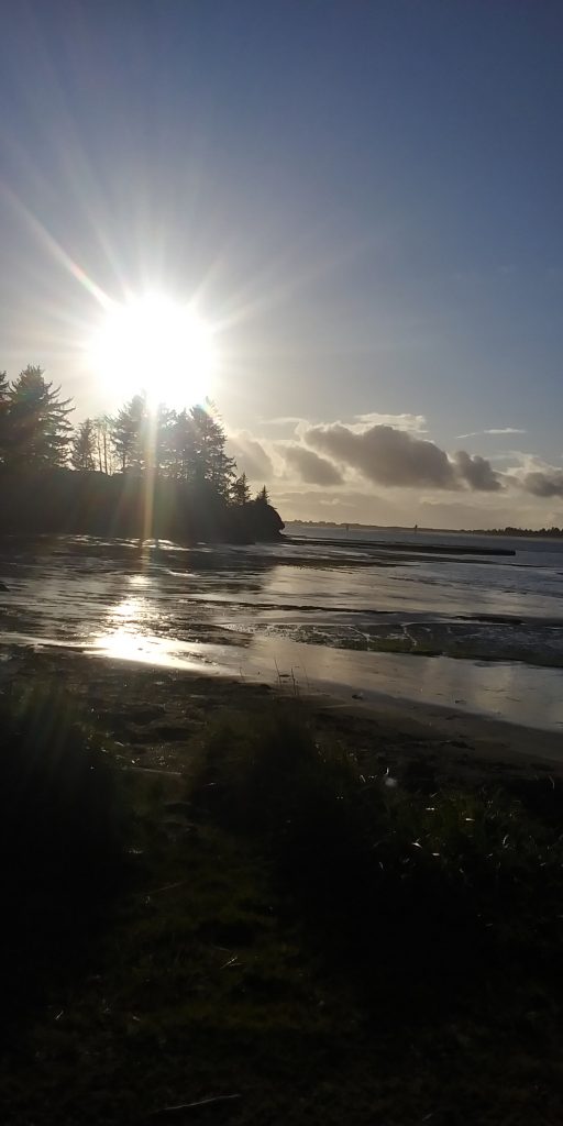 Cape Arago in Coos Bay Oregon By Maggie Austin