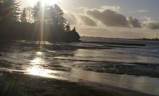 Cape Arago in Coos Bay Oregon By Maggie Austin