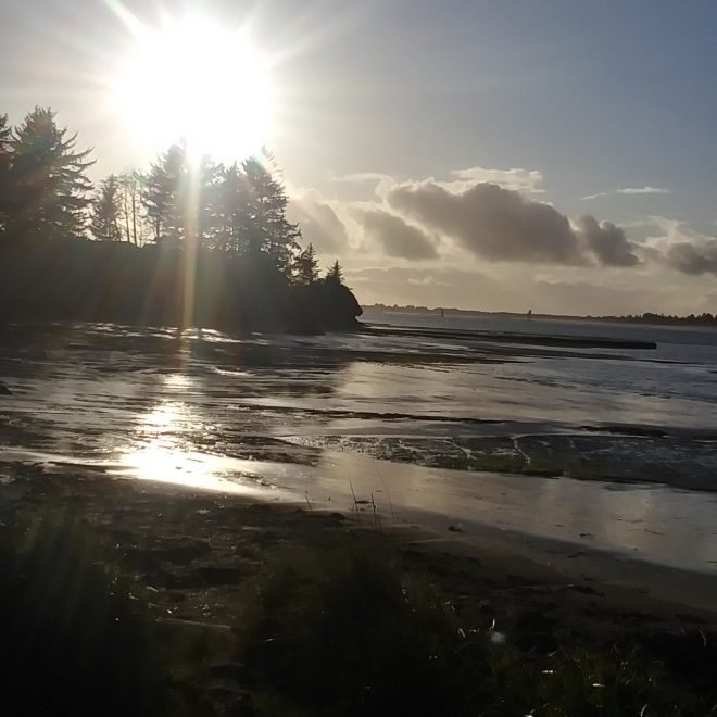 Cape Arago in Coos Bay Oregon By Maggie Austin