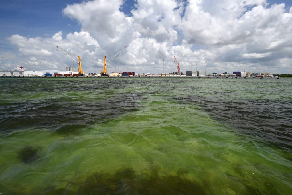 https://www.heraldtribune.com/story/news/local/manatee/2021/04/01/piney-point-phosphate-plant-leak-manatee-county-florida-declares-local-state-emergency/4843453001/?utm_source=heraldtribune-Daily%20Briefing&utm_medium=email&utm_campaign=daily_briefing&utm_term=hero