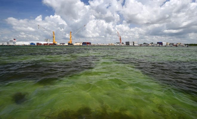 https://www.heraldtribune.com/story/news/local/manatee/2021/04/01/piney-point-phosphate-plant-leak-manatee-county-florida-declares-local-state-emergency/4843453001/?utm_source=heraldtribune-Daily%20Briefing&utm_medium=email&utm_campaign=daily_briefing&utm_term=hero