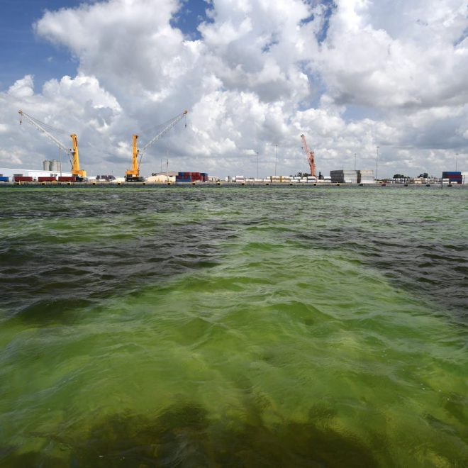 https://www.heraldtribune.com/story/news/local/manatee/2021/04/01/piney-point-phosphate-plant-leak-manatee-county-florida-declares-local-state-emergency/4843453001/?utm_source=heraldtribune-Daily%20Briefing&utm_medium=email&utm_campaign=daily_briefing&utm_term=hero
