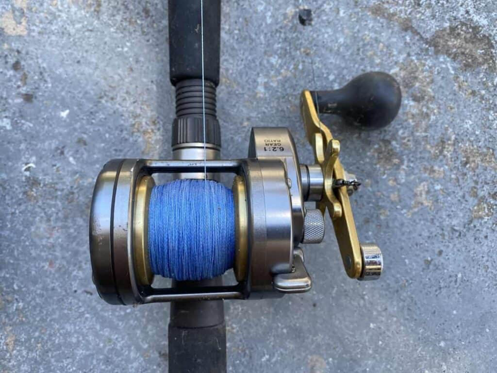 Fishing Reels 101: How to Choose the Best Spinning Reel for You