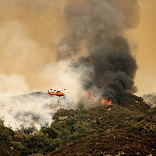 Image Courtesy of AP News / Noah Berger.