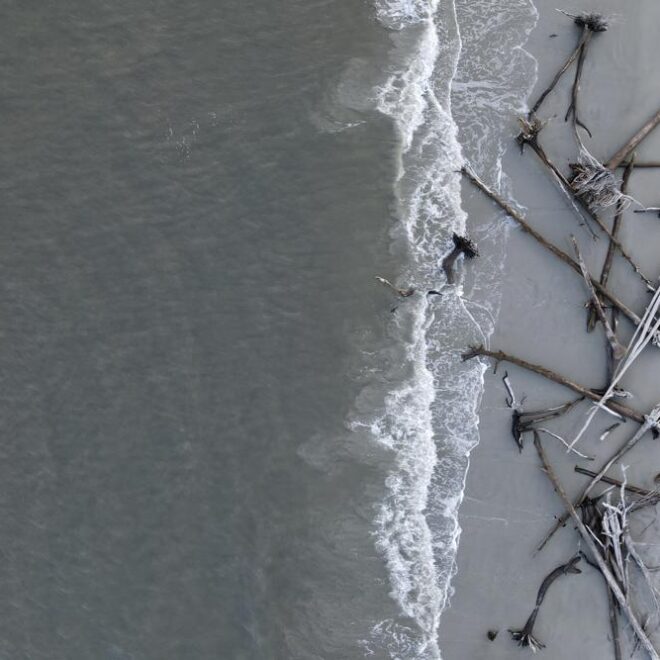 AP Photo/Rebecca Blackwell