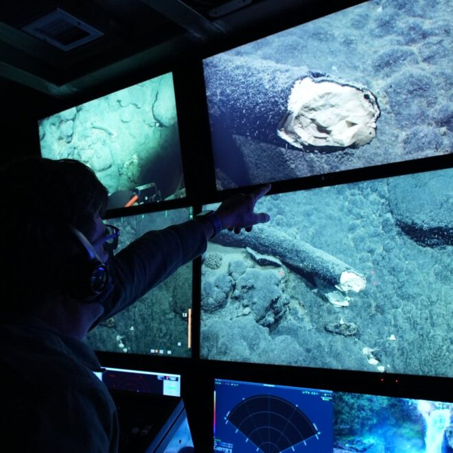 https://www.nytimes.com/2021/11/22/science/mammoth-tusk-ocean.html