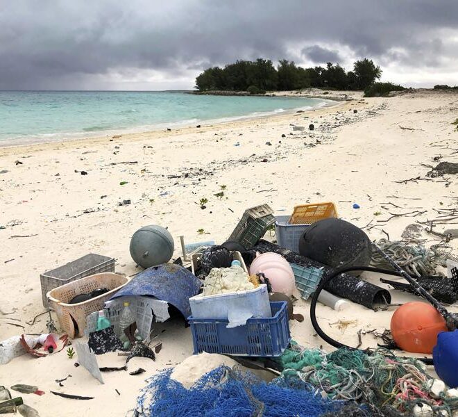 https://apnews.com/article/science-health-business-environment-recycling-e40323953e5adffb32f73b60c9bb2202