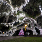 https://www.jekyllisland.com/signatureevents/holly-jolly-jekyll/