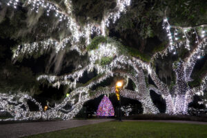 https://www.jekyllisland.com/signatureevents/holly-jolly-jekyll/