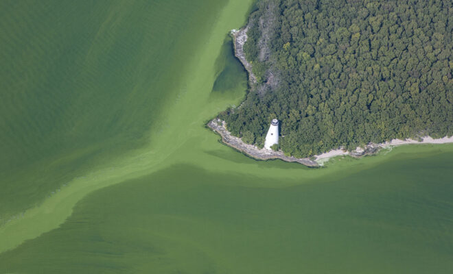 Image via NOAA. https://www.noaa.gov/media-advisory/lake-erie-harmful-algal-bloom-forecast-on-june-30-0