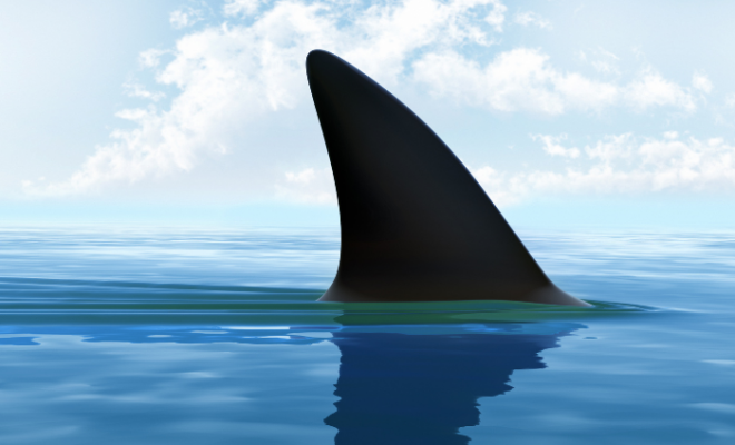 Shark fin on ocean surface. Image from canva.com