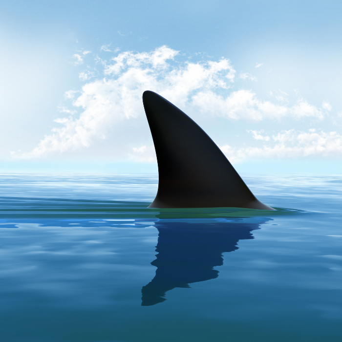 Shark fin on ocean surface. Image from canva.com