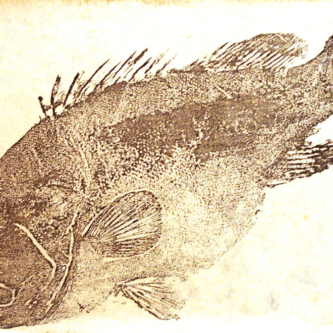 DigiPub / J.G. Wang, CC BY-SA 2.0, via Wikimedia Commons