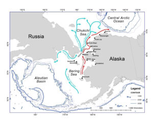 Map of the Bering and Chukchi Sea study area showing prevailing currents and some western Alaska coastal communities.
