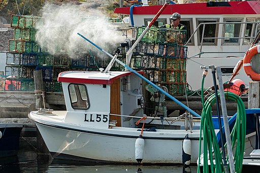 W.carter, CC0, Fisherman_cleaning_lobster_traps_in_Norra_Grundsund_2-1.via Wikimedia Commons