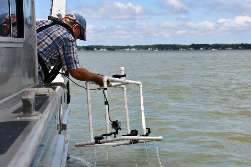 OysterVideoMonitoring, A NOAA scientist retrieves a frame on which a video camera is mounted from the water. NOAA is researching the use of video to track the progress of oyster reef restoration projects.