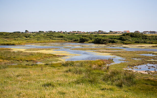 Salt Marches by Peter Facey / Salt Marsh south of Roman Landing