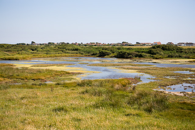 Salt Marches by Peter Facey / Salt Marsh south of Roman Landing