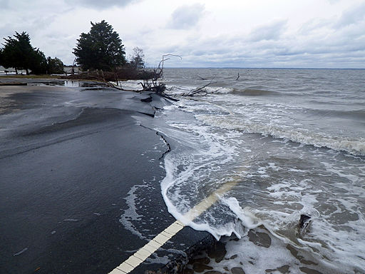 NPS Climate Change Response, Public domain, via Wikimedia Commons