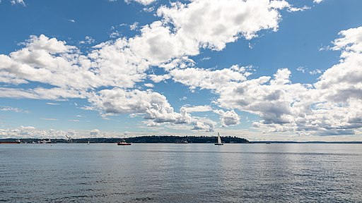 James St. John, CC BY 2.0 <https://creativecommons.org/licenses/by/2.0>,Seattle_WA_USA_Pocket_Beach_Blick_auf_Elliott_Bay_-_2022_-_1709 via Wikimedia Commons