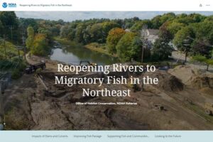 Visit our story map to learn about how our fish passage projects benefit fish and communities in the Northeast.