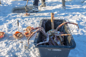 Fishing red king crab | Kirkenes, Norway | Morten F | Flickr