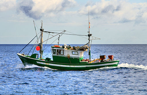 Ian Sherlock, CC BY-SA 2.0 , 512px-Fishing_boat_in_the_Canary_Islands via Wikimedia Commons