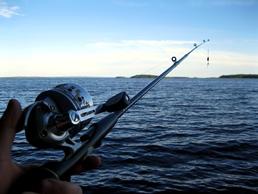 Santeri Viinamäki, CC BY-SA 4.0 <https://creativecommons.org/licenses/by-sa/4.0>, 512px-Hand_Holding_Fishing_Rod_01.jpg via Wikimedia Commons