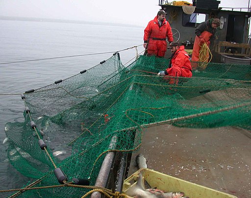 U.S. Fish and Wildlife Service, Public domain, Employees_working_on_fishing_boat_working_with_tribal_partners via Wikimedia Commons