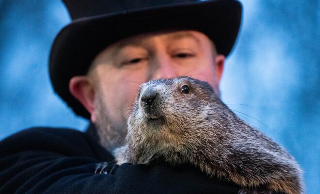 Photo of Punxsutawney Phil the Groundhog by Anthony Quintano at https://flickr.com/photos/22882274@N04/51858868720. Creative Commons License https://creativecommons.org/licenses/by/2.0/deed.en