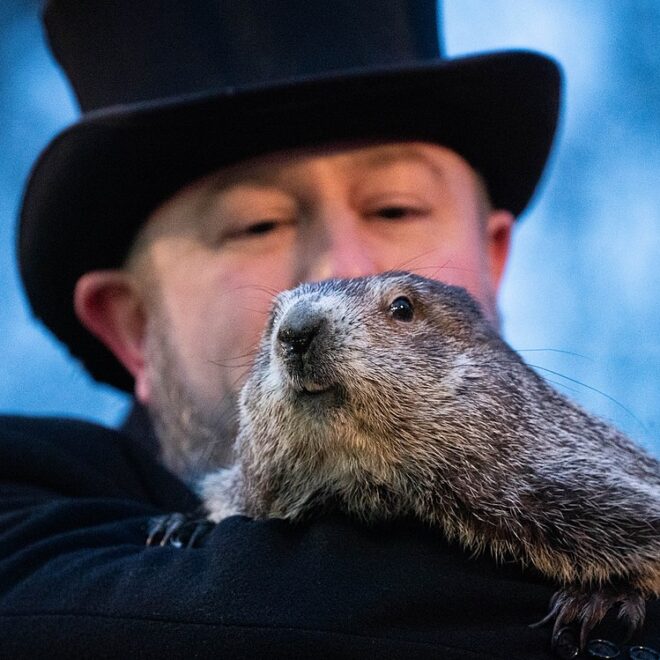 Photo of Punxsutawney Phil the Groundhog by Anthony Quintano at https://flickr.com/photos/22882274@N04/51858868720. Creative Commons License https://creativecommons.org/licenses/by/2.0/deed.en