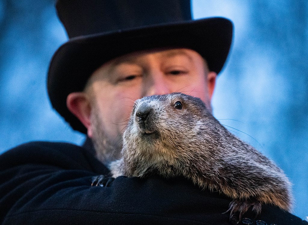 Photo of Punxsutawney Phil the Groundhog by Anthony Quintano at https://flickr.com/photos/22882274@N04/51858868720. Creative Commons License https://creativecommons.org/licenses/by/2.0/deed.en