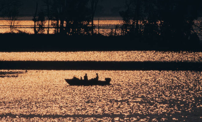 U.S. Fish and Wildlife Service Headquarters, Public domain, Mississippi_River_boating_5720514927 via Wikimedia Commons