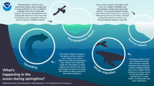 OceanSpring infospring by NOAA