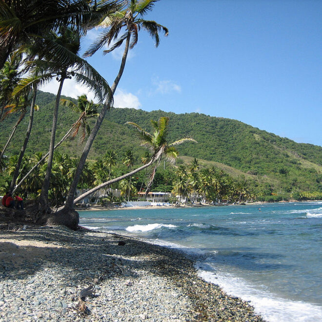 Oquendo from Freeport, NY, CC BY 2.0 , via Wikimedia Commons