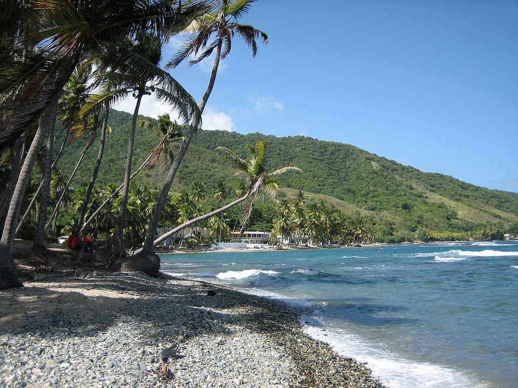 Oquendo from Freeport, NY, CC BY 2.0 , via Wikimedia Commons