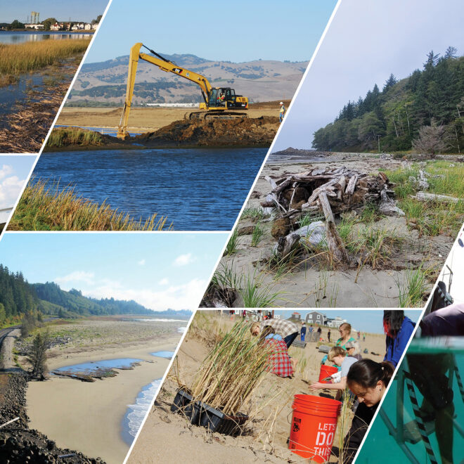 Photo image collage by NOAA