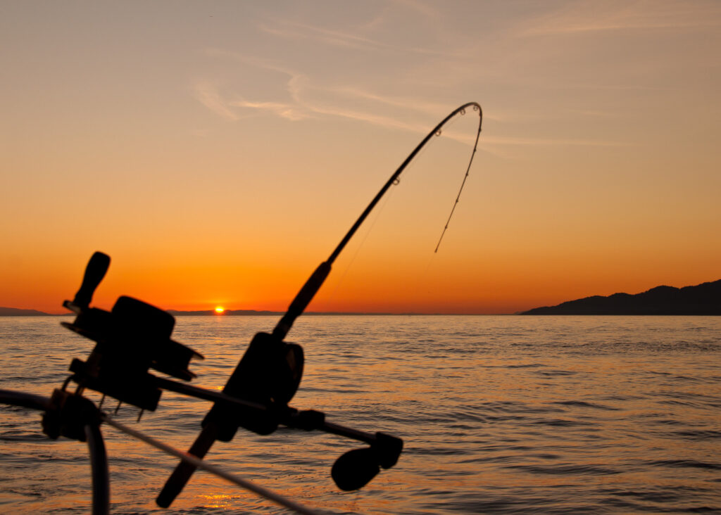 San Diego Bay Inshore Fishing by James Wheeler