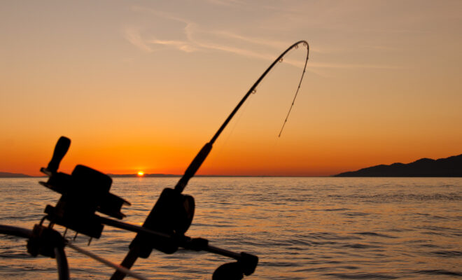 San Diego Bay Inshore Fishing by James Wheeler
