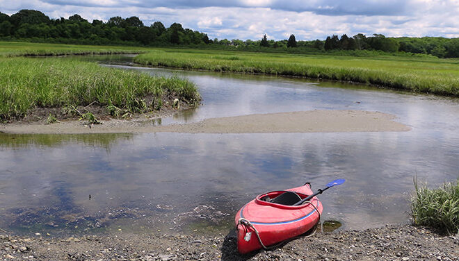 Salt marsh by NOAA