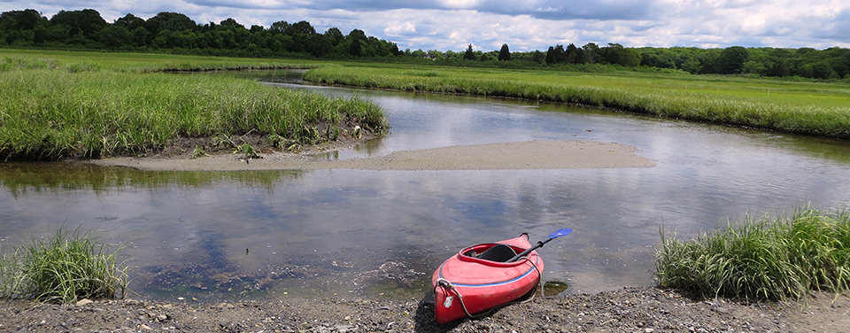 Salt marsh by NOAA