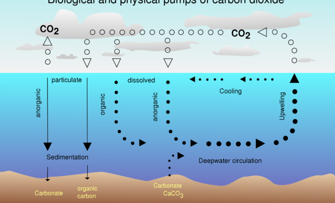 Derivative work: McSush CO2 pump via WikkiCommons