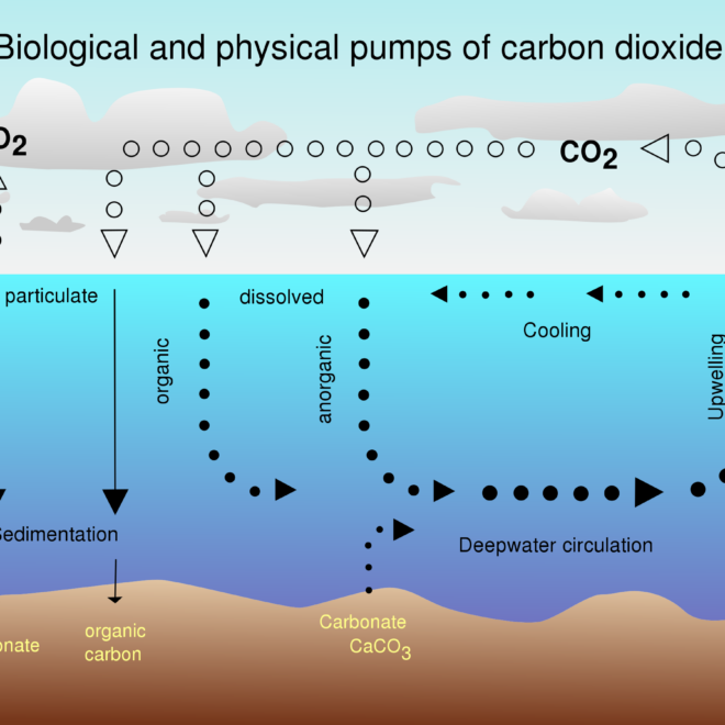 Derivative work: McSush CO2 pump via WikkiCommons