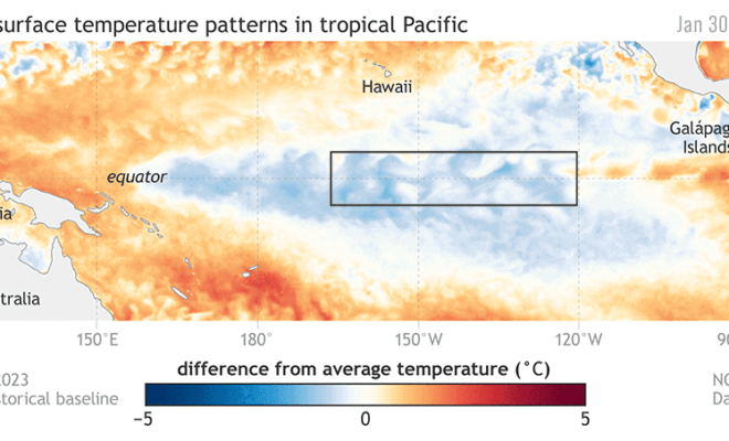 Weekly Sea Surface Temperature by NOAA