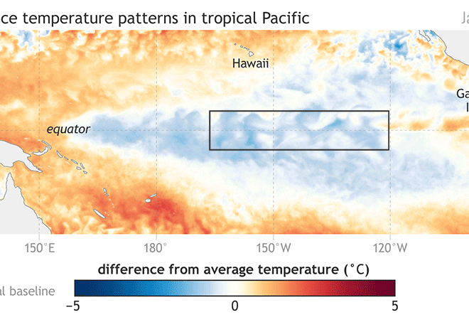 Weekly Sea Surface Temperature by NOAA