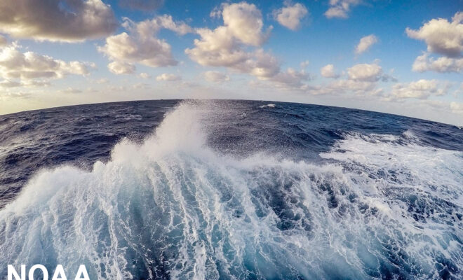 A fish-eye view of the wake of a ship out at sea. Here's an ocean fact: The surface layer of the ocean is teeming with photosynthetic plankton. Though they're invisible to the naked eye, they produce more oxygen than the largest redwood trees. (Image credit: NOAA)